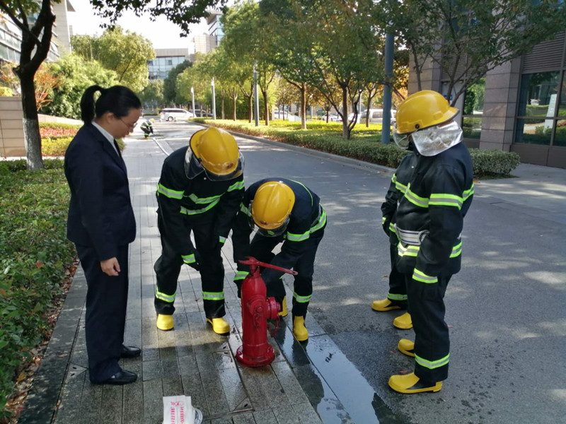 1605000900917173.jpg 4.jpg