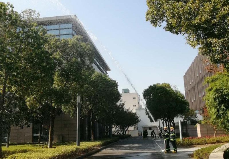 1605000909785505.jpg 3.jpg