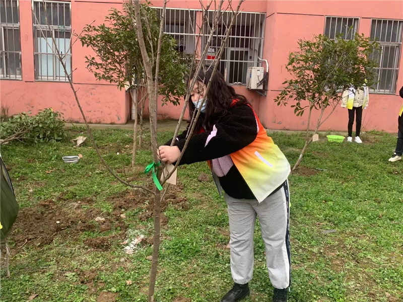 志愿者为树苗系上绿色丝带.png