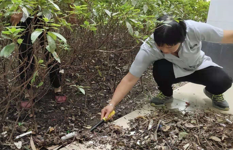 保洁清理绿化带建筑垃圾_副本.jpg