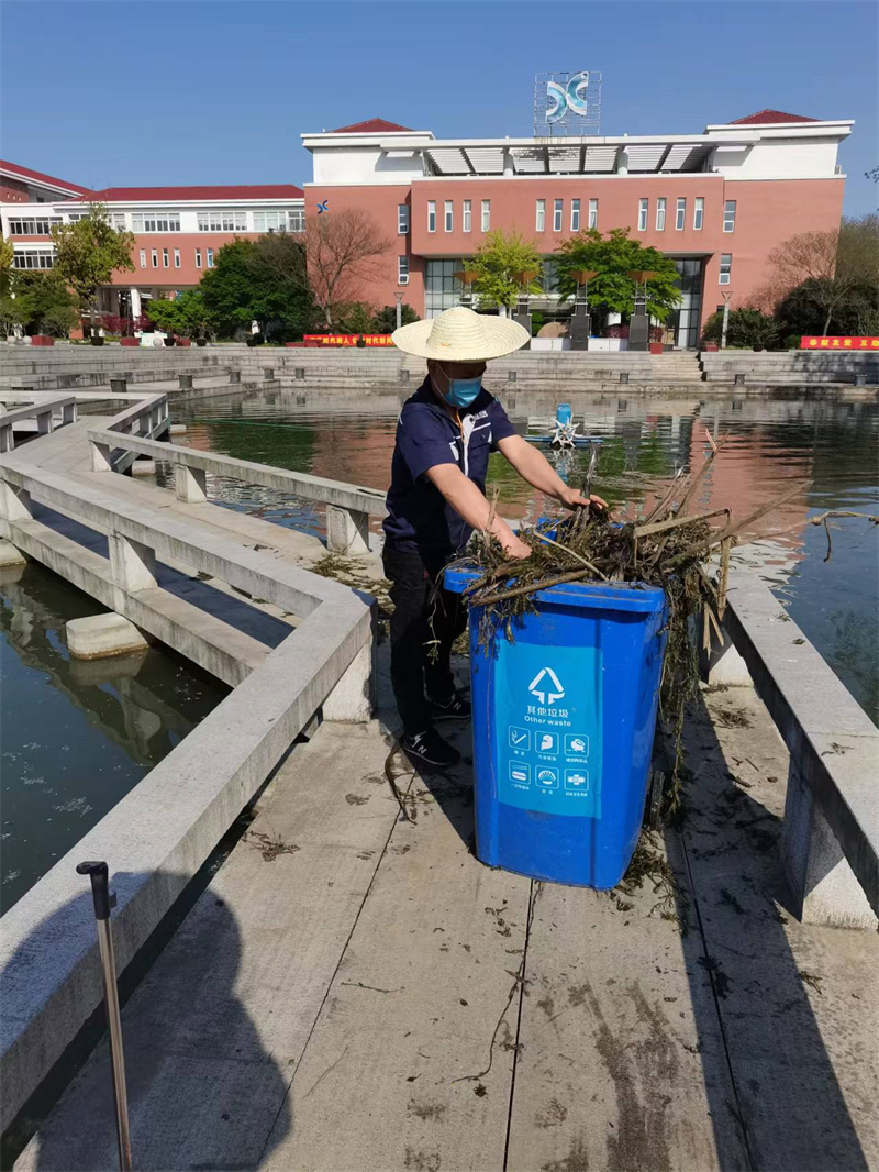 清理水草 (1).jpg