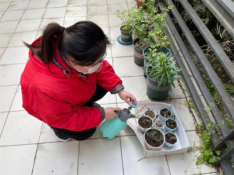 帮学生养护绿植.jpg