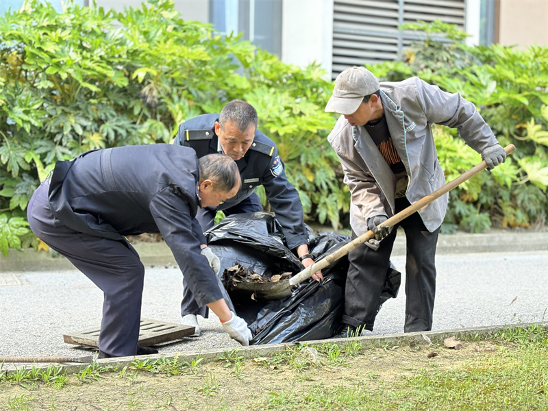 雨季前雨水井清理.jpg