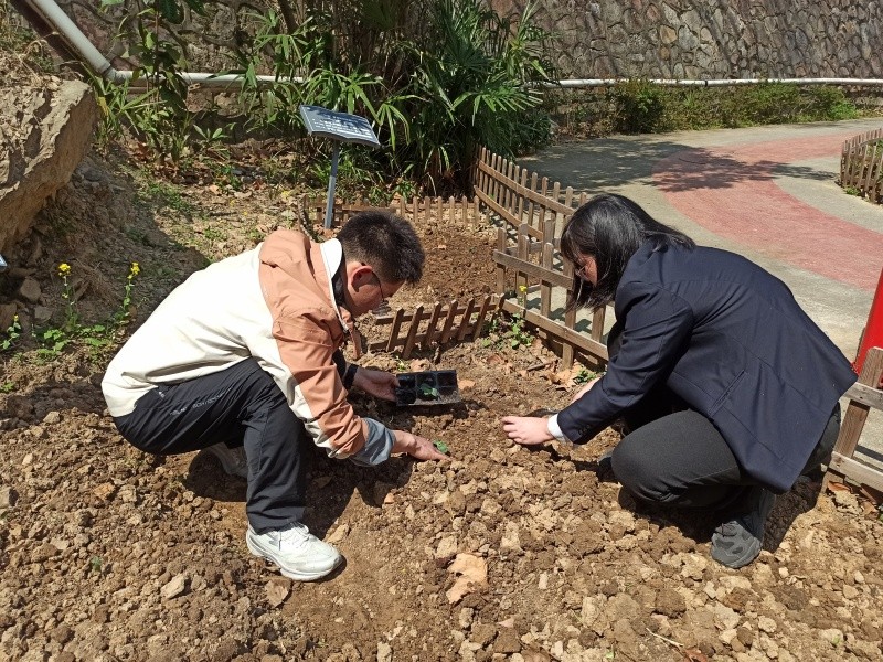 指导学生种植蔬果苗.jpg