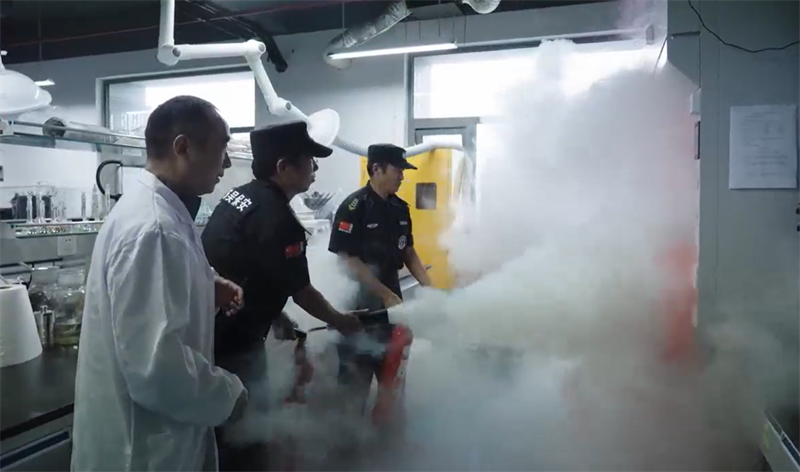 1761813374756770.png 687b441a-c22e-47d4-8b3e-c36bd041e1e3.png