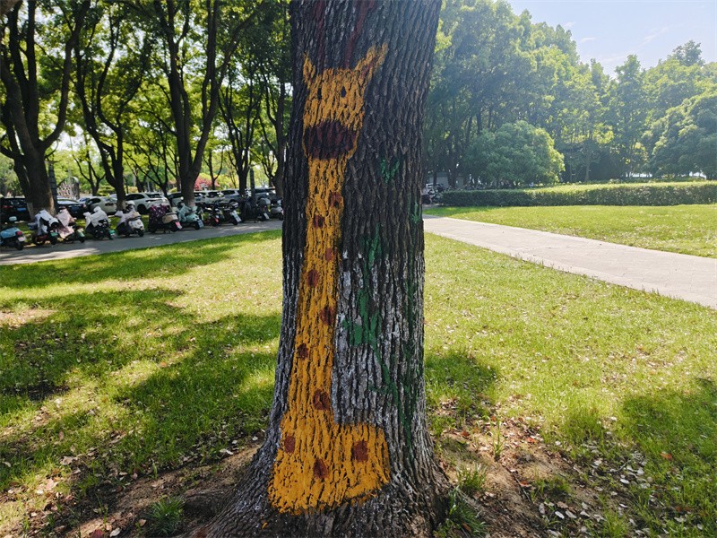 1778719771995457.jpg